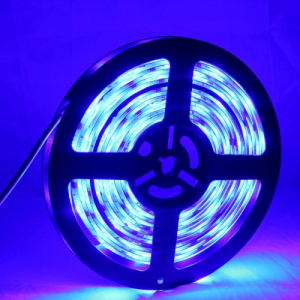 LED-valonauha 2835 SMD, sininen, vedenkestävä , 5 m